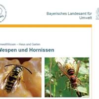 Landesamt für Umwelt.JPG