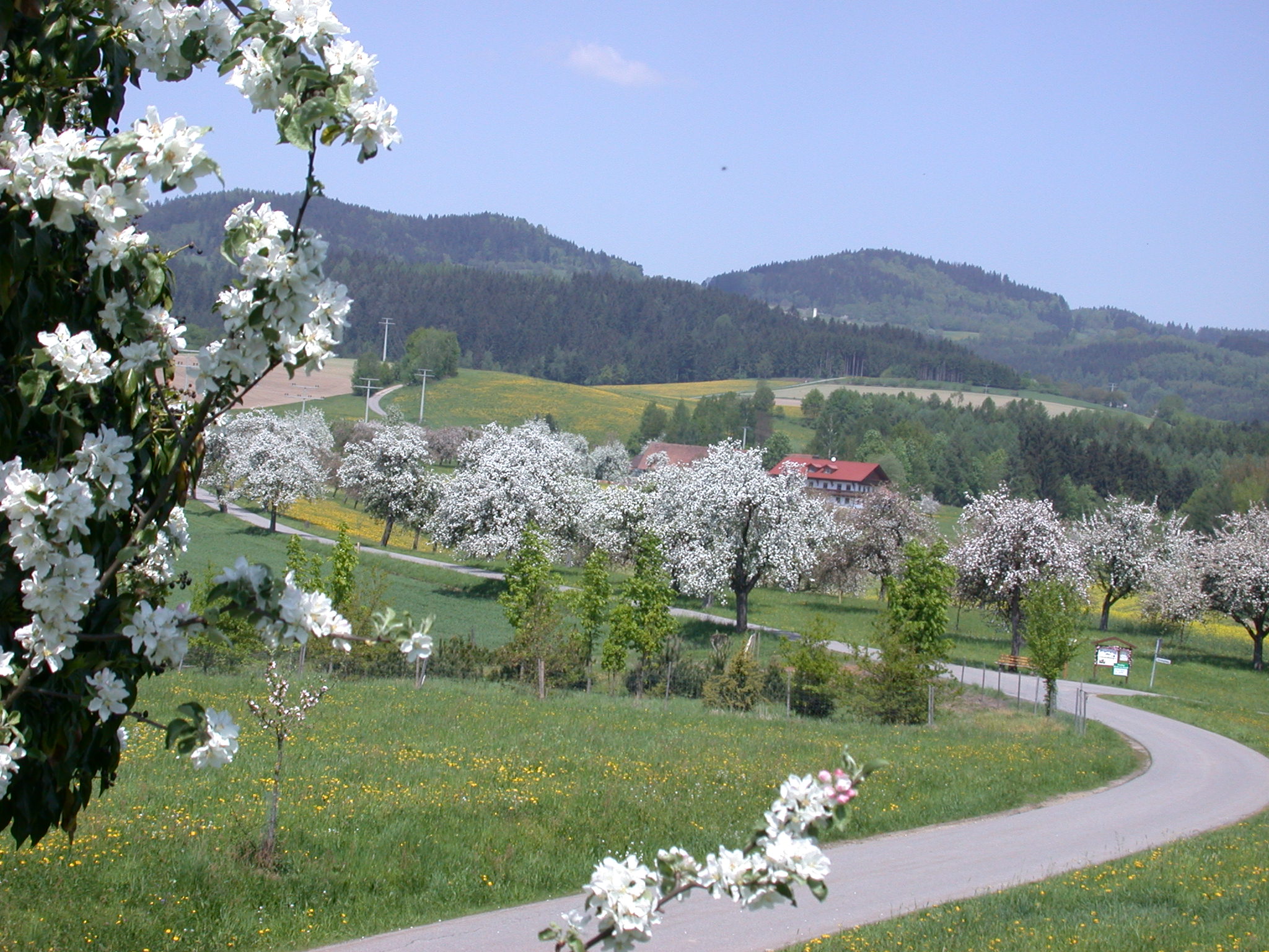 Hunderdorf 1.JPG