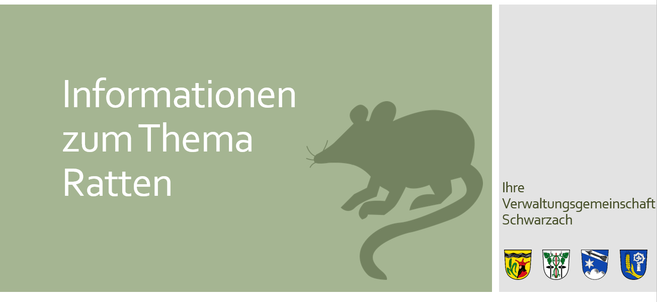 Leider haben wir keinen Alternativtext zu diesem Bild, aber wir arbeiten daran.